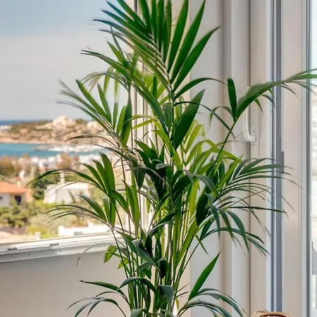 Mare Syros Vila